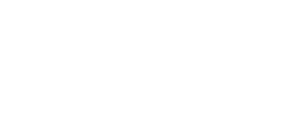 Noetic Insight Curbside Logo