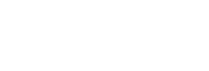 Noetic Insight TeleCongress Logo
