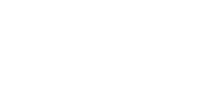 Noetic Illumination Summaries White Logo